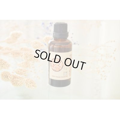 画像2: ベンゾイン エッセンシャルオイル 精油 100ml 【40%希釈】