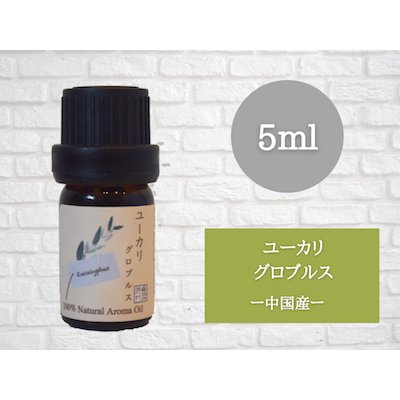 画像2: ユーカリ-グロブルス- エッセンシャルオイル 精油 5ml