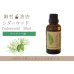 画像1: シダーウッド バージニアン エッセンシャルオイル 精油　30ml (1)