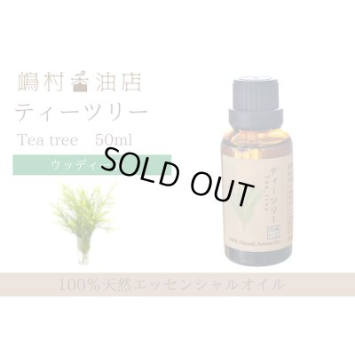 画像1: ティーツリー エッセンシャルオイル 精油 50ml