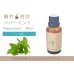 画像1: ペパーミント エッセンシャルオイル 精油 30ml (1)