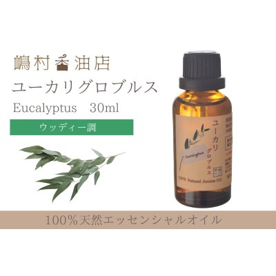 画像1: ユーカリ-グロブルス- エッセンシャルオイル 精油 30ml