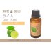 画像1: ライム エッセンシャルオイル 精油 30ml (1)