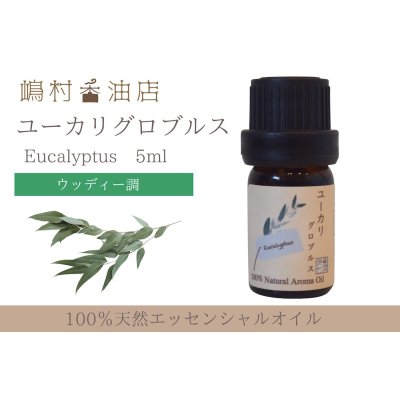 画像1: ユーカリ-グロブルス- エッセンシャルオイル 精油 5ml