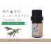 画像1: ユーカリ-グロブルス- エッセンシャルオイル 精油 5ml (1)