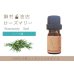 画像1: ローズマリー エッセンシャルオイル 精油　5ml (1)