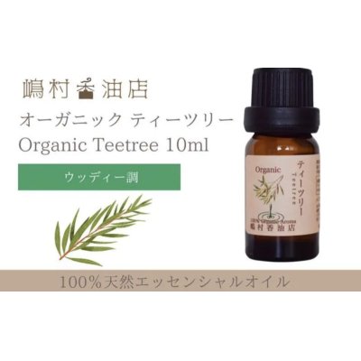 画像1: ティーツリー オーガニック 精油 10ml 