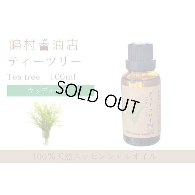 画像1: ティーツリー エッセンシャルオイル 精油 100ml