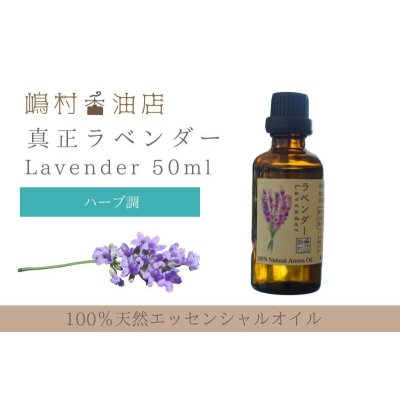 画像1: 真正ラベンダー エッセンシャルオイル 精油　50ml