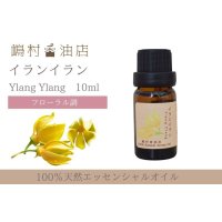 イランイラン 1st エッセンシャルオイル 精油 10ml