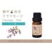 画像1: クラリセージ エッセンシャルオイル 精油 10ml (1)