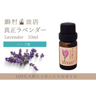 画像1: 真正ラベンダー エッセンシャルオイル 精油　10ml