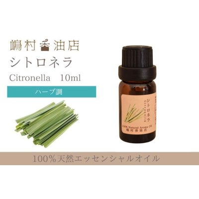 画像1: シトロネラ エッセンシャルオイル 精油 10ml