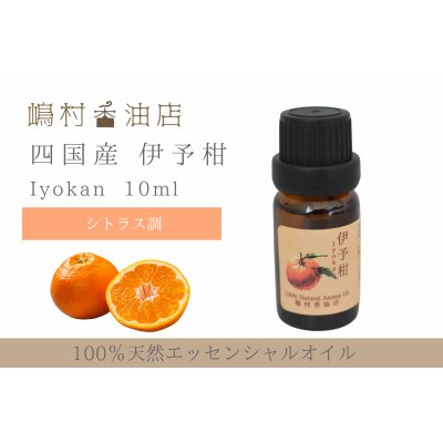 画像1: 国産 伊予柑(いよかん) エッセンシャルオイル 精油 5ml