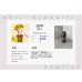 画像2: 【ISFP-冒険家】  MBTI Aroma  5ml ブレンドアロマオイル (2)