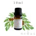 画像1: サイプレス エッセンシャルオイル 精油 10ml (1)