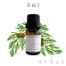 画像1: サイプレス エッセンシャルオイル 精油 5ml (1)