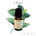 画像1: ペパーミント エッセンシャルオイル 精油 10ml (1)
