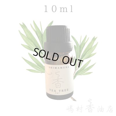 画像1: ティーツリー エッセンシャルオイル 精油 10ml