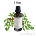 画像1: サイプレス エッセンシャルオイル 精油 50ml (1)