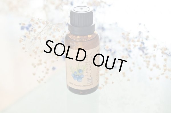 画像2: ジュニパーベリー エッセンシャルオイル 精油 50ml (2)