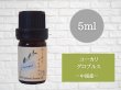 画像2: ユーカリ-グロブルス- エッセンシャルオイル 精油 5ml (2)