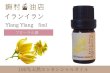 画像1: イランイラン 1st エッセンシャルオイル 精油 5ml (1)