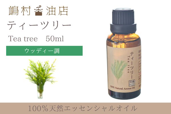 画像1: ティーツリー エッセンシャルオイル 精油 50ml (1)