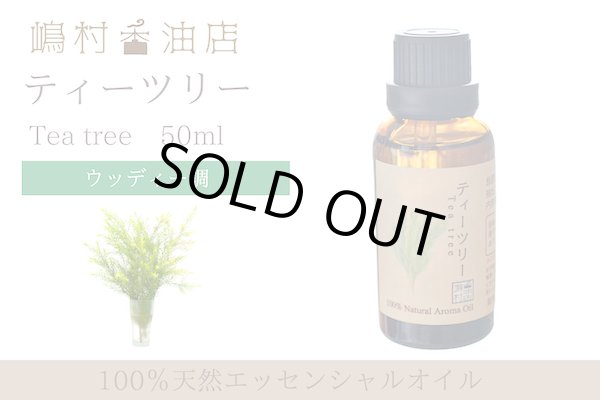 画像1: ティーツリー エッセンシャルオイル 精油 50ml (1)