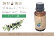 画像1: ジュニパーベリー エッセンシャルオイル 精油　30ml (1)