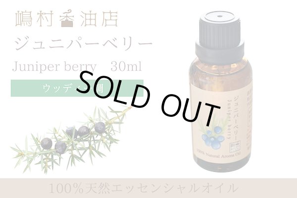 画像1: ジュニパーベリー エッセンシャルオイル 精油　30ml (1)