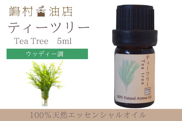 画像1: ティーツリー エッセンシャルオイル 精油 5ml (1)