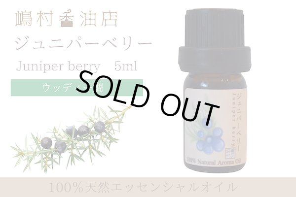 画像1: ジュニパーベリー エッセンシャルオイル 精油 5ml (1)