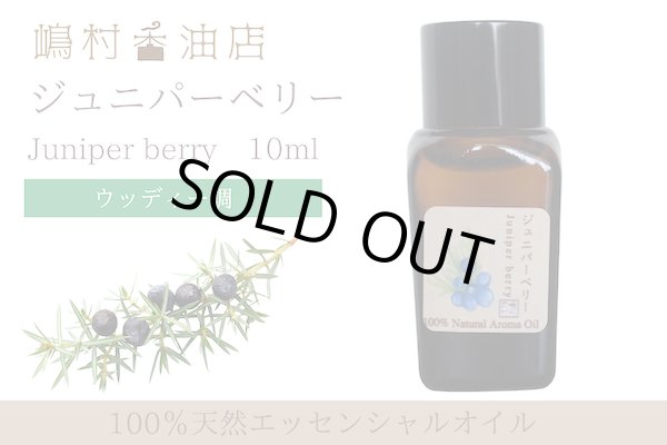 画像1: ジュニパーベリー エッセンシャルオイル 精油 10ml (1)