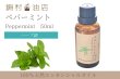 画像1: ペパーミント エッセンシャルオイル 精油 50ml (1)