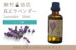 画像1: 真正ラベンダー エッセンシャルオイル 精油　30ml (1)