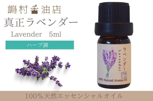 画像1: 真正ラベンダー エッセンシャルオイル 精油　5ml (1)