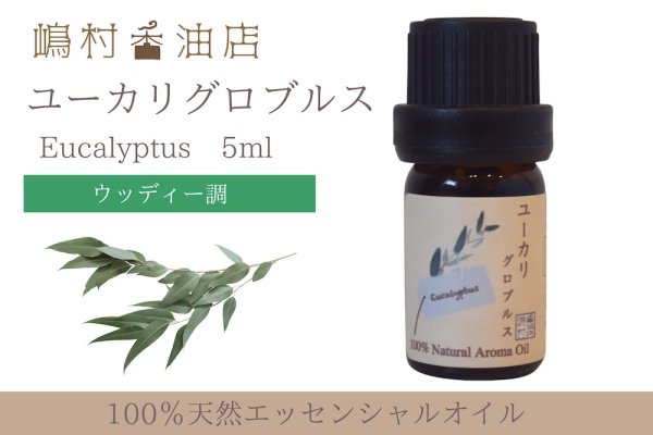 画像1: ユーカリ-グロブルス- エッセンシャルオイル 精油 5ml (1)