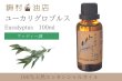 画像1: ユーカリ-グロブルス- エッセンシャルオイル 精油 100ml (1)