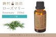 画像1: ローズマリー エッセンシャルオイル 精油　100ml (1)