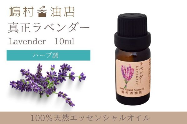 画像1: 真正ラベンダー エッセンシャルオイル 精油　10ml (1)