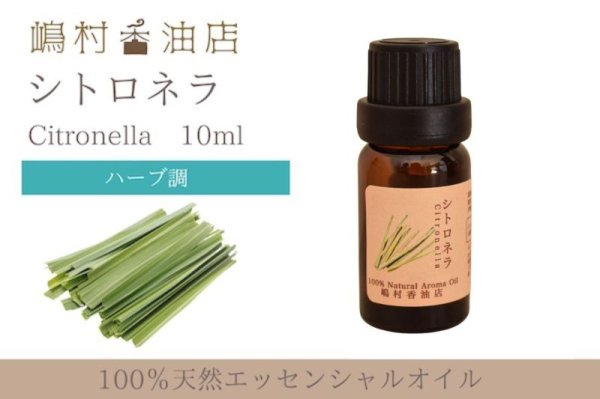 画像1: シトロネラ エッセンシャルオイル 精油 10ml (1)