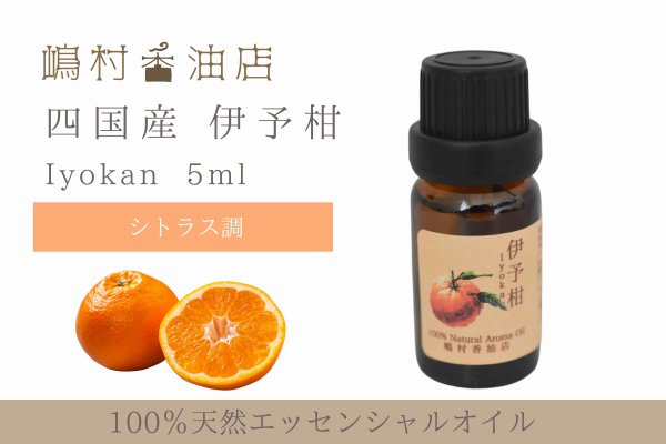 画像1: 国産 伊予柑(いよかん) エッセンシャルオイル 精油 10ml (1)