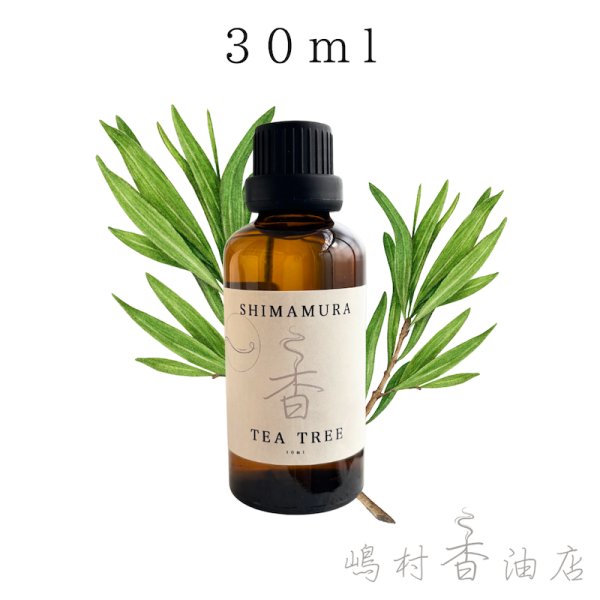 画像1: ティーツリー エッセンシャルオイル 精油 30ml (1)