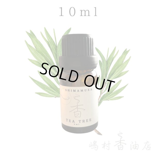 画像1: ティーツリー エッセンシャルオイル 精油 10ml (1)