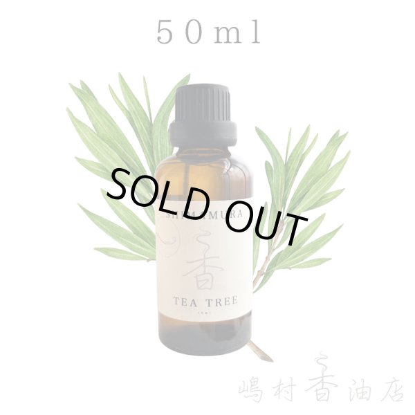 画像1: ティーツリー エッセンシャルオイル 精油 50ml (1)